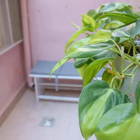 Casabra * פלרמו